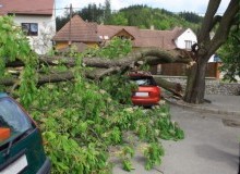 Kwikfynd Tree Cutting Services
brucerock